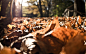 light nature Sun trees autumn forests leaves macro fallen leaves - Wallpaper (#1318366) / Wallbase.cc