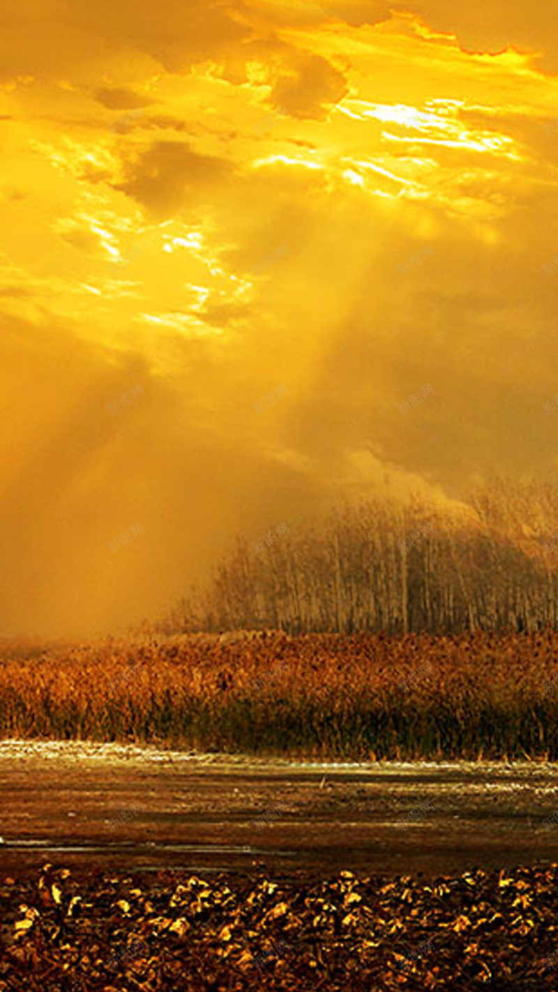 85da8fe4e7424f54f7afe83d7089b096a873c5956bb5c-ufy9TU