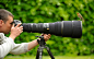 birds cameras men nature photographers wallpaper (#1913372) / Wallbase.cc