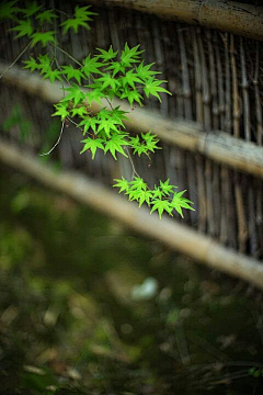 有时下雨采集到感叹