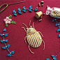 华丽的昆虫刺绣 | 刺绣艺术家 Humayrah Bint Altaf ​​​​
