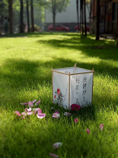 蒋花花儿采集到花花的手工~