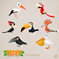 Game art: Birds : Visual development for mobile app for children.
