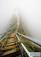 蜜月旅行去哪里，天国的阶梯。夏威夷州欧胡岛