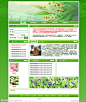 企业网站 网站模板 绿色网站 绿色模板 psd 无网页代码 花鸟网站