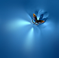 Blue Paradise by Josep Sumalla on 500px_合成 _T2018816 #率叶插件，让花瓣网更好用#