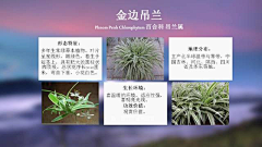 水歌歌采集到植物习性