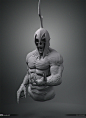 Zbrush Collection