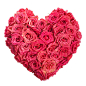 用玫瑰花环绕的心情人节高清图片