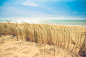 Free stock photo of beach, dune, holiday