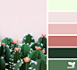 Design Seeds : Design Seeds color palettes ... posted daily for all who love color.