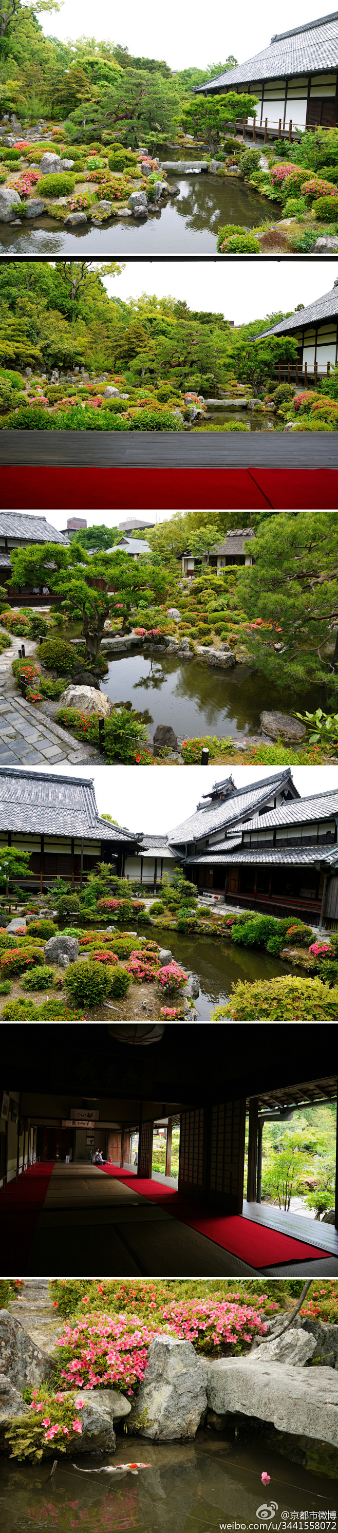 等持院。 天龙寺派的禅宗寺院。由日本禅宗...