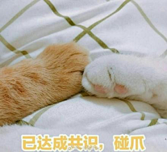 林妹妹啊采集到猫猫