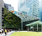 OCEAN FINANCIAL CENTER : Phase 1:The tropical gardens in the sky at the Ocean Financial Centre were designed within the interstitial spaces between the building structure and façade framing. Creating a connection to the natural environment, the vertical l