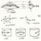 干货分享 | 速写人物之头部骨骼、肌肉、五官的刻画表现_脸部 : 三庭五眼是概括一个标准的人物头部比例，并不适用于所有人，每一个人面部特征的不同，使得三庭五眼的比例也有所不同(比如：眼睛大的人、脸宽的人、额头扁的人等)。耳朵是由富有弹性的软骨组织和脂肪体构成，分耳廓、耳屏、…