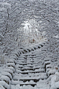 雪的楼梯，阿尔伯塔，加拿大
Snow Stairs, Alberta, Canada