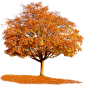765 Autumn Tree by Tigers-stock on DeviantArt