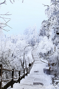 L_J采集到锦绣山河