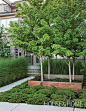 Landscape designer Kim Price used corten steel to create a modern planter box that will look better with every passing season. | Photographer: Donna Griffith