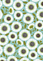 Pool Daisy wrapping paper - Paper Source