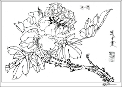 认萍生采集到工笔画