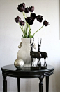 black tulips, white vase