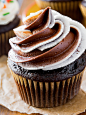 Classic Chocolate Cupcakes with Vanilla Frosting