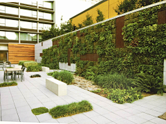 园林景观设计——WL采集到构成——立面、垂直绿化