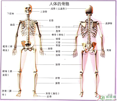 西子湖畔那只妖采集到手绘教程搜集