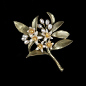 Orange Blossom Brooch