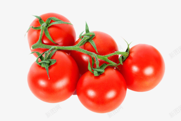 86eed15472124d8d0ec9b235e0ed54a191dadd9e10f9e-douNlO