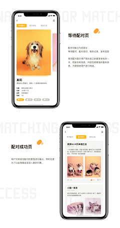 辛集采集到★UI【APP下载/展示/介绍页】