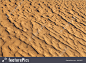 Image result for desert texture