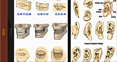 Dawmi9dO采集到人物结构