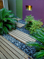Subiaco Courtyard : Small courtyard in Perth, Western Australia