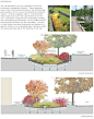 Bioswale concept diagrams // Diagrams by others: