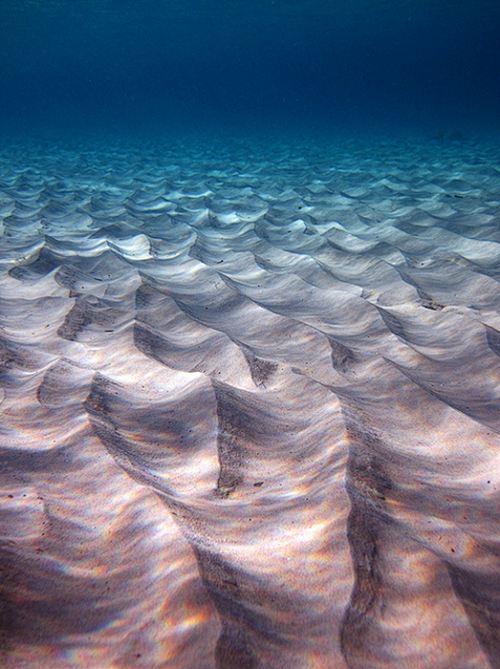 海水 背景 壁纸