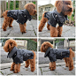 Amazon.com : Lovelonglong Cool Dog Leather Jacket, Warm Coats Dogs Windproof Cold Weather Coats for Large Medium Small Dogs, Yorkshire Terrier Clothing Black S : Pet Supplies