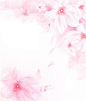 粉色溶图素材  花朵 常用