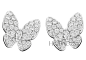 梵克雅宝VCA (Van Cleef & Arpels) 2014年Butterflies蝴蝶系列珠宝
Two Butterfly耳环 (白K金镶嵌钻石)