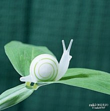 ぐ盛夏的雪ツ采集到小小清新