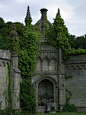 Ivy Castle Walls, Margam, Wales