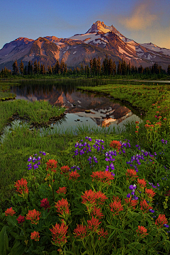 翠玉竹林采集到景