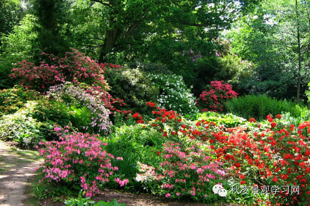 景观花镜实景，植物设计参考借鉴