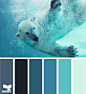 polar palette