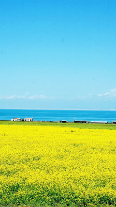 筱苡采集到风景