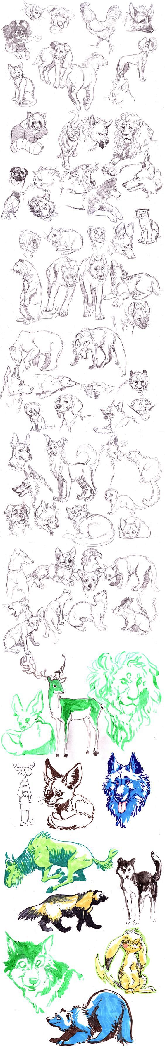 Animals Sketches by ...