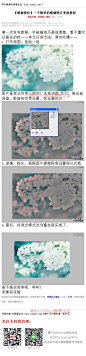 《一个简单的模湖图片变清教程》 新手请看，高手请绕道而行 #www.16xx8.com##ps##photoshop##教程##ps教程##II#：http://www.16xx8.com/plus/view.php?aid=113621&pageno=all