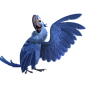 rio-2_blu鹦鹉PNG图标