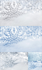 #PSE冬季雪景相关素材#冬日雪花 5JPG 【链接:http://t.cn/zRGgf8u 密码:9vxh】